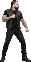 Drake idle animation