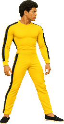 Bruce Leroy